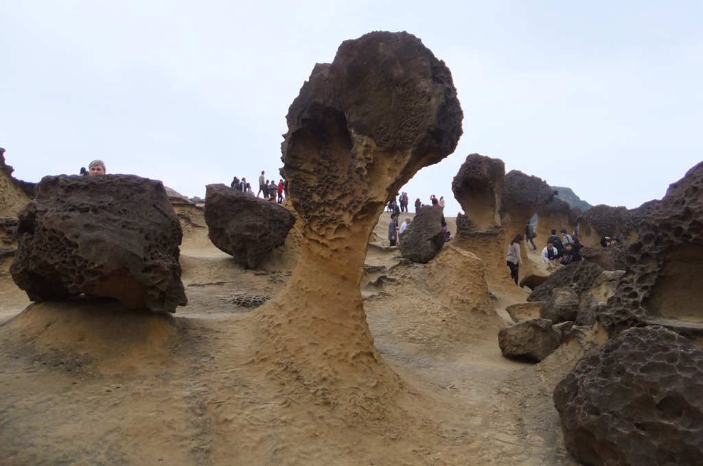 野柳海岸のキノコ型の奇岩